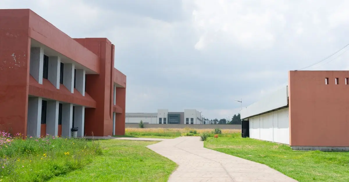 Nuestra visión sobre las terapias de desintoxicación