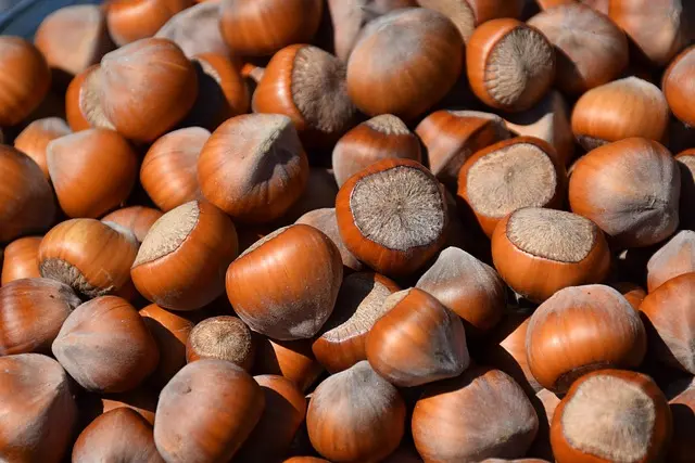 Cómo elegir los mejores superalimentos para tu salud