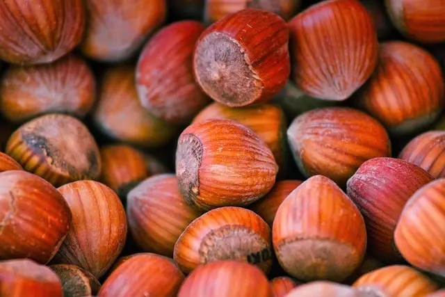 Cómo implementar la alimentación consciente en tu vida diaria
