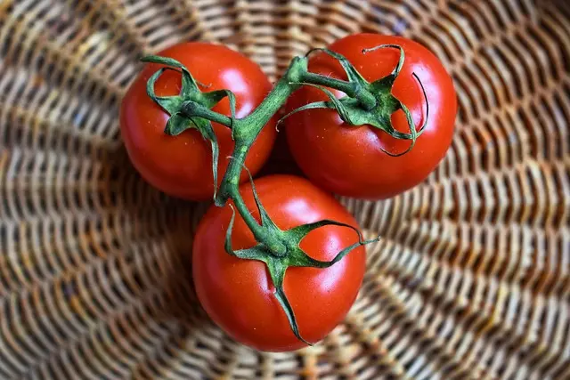 Cómo fortalecer tu salud mental a través de la alimentación
