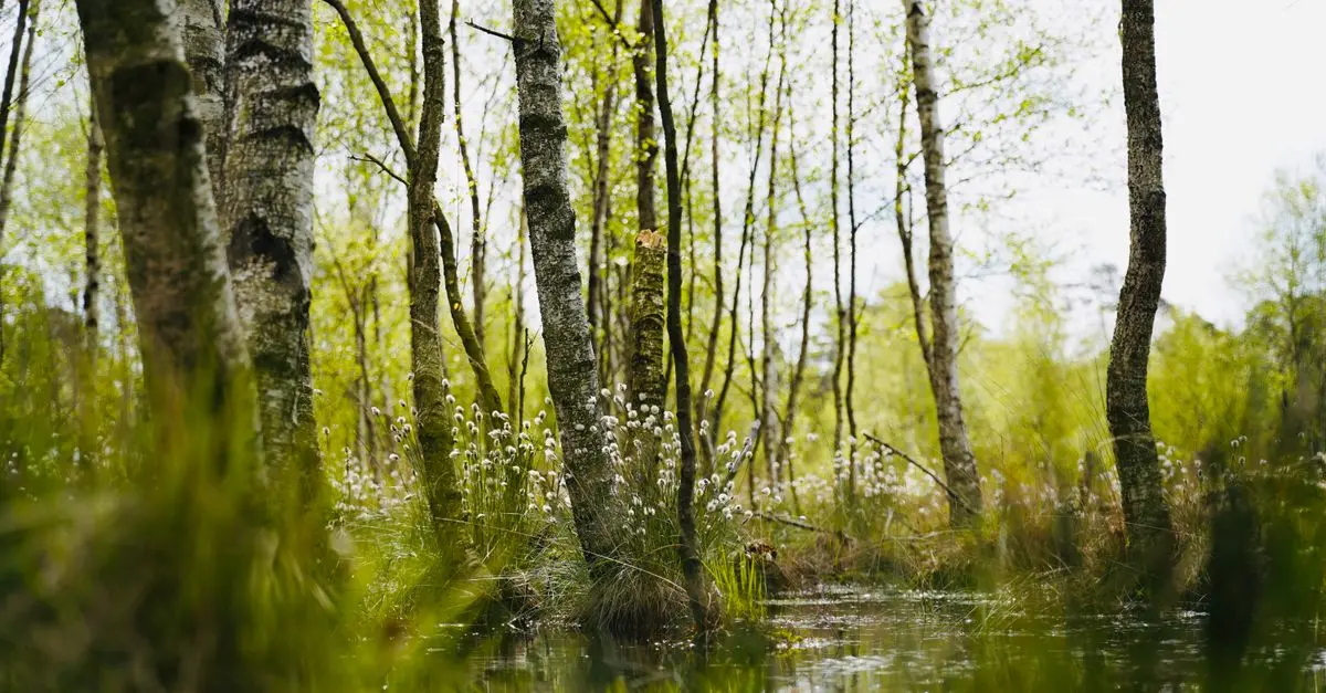 10 consejos para fortalecer tu sistema inmunológico naturalmente