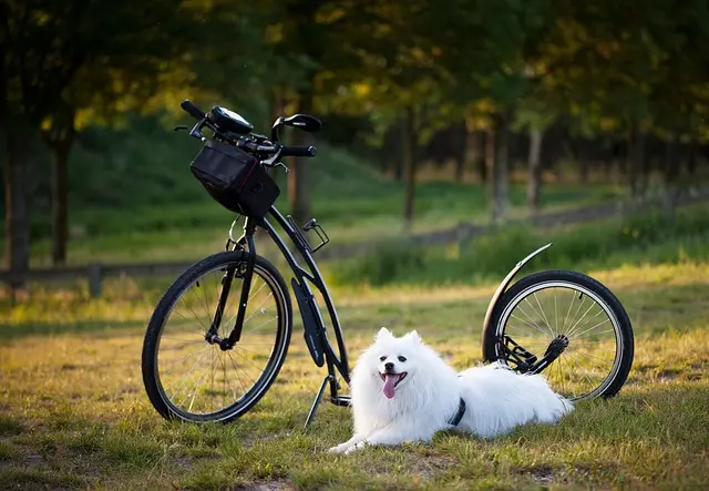 Los beneficios del ejercicio al aire libre para tu salud