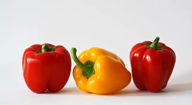 10 alimentos esenciales para fortalecer tu sistema inmunológico