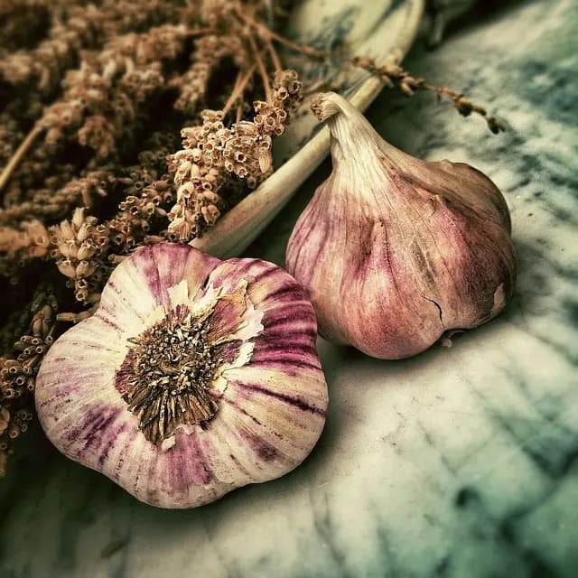 10 consejos para fortalecer tu sistema inmunológico naturalmente