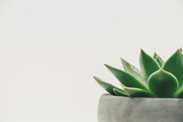 Cómo integrar la meditación en tu rutina diaria para mejorar la salud