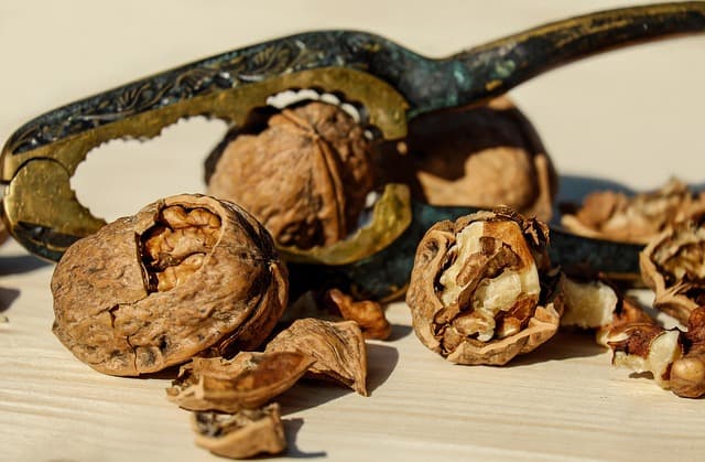 Cómo elegir los mejores snacks saludables para tu dieta