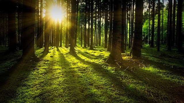 10 consejos para mantener una salud mental equilibrada
