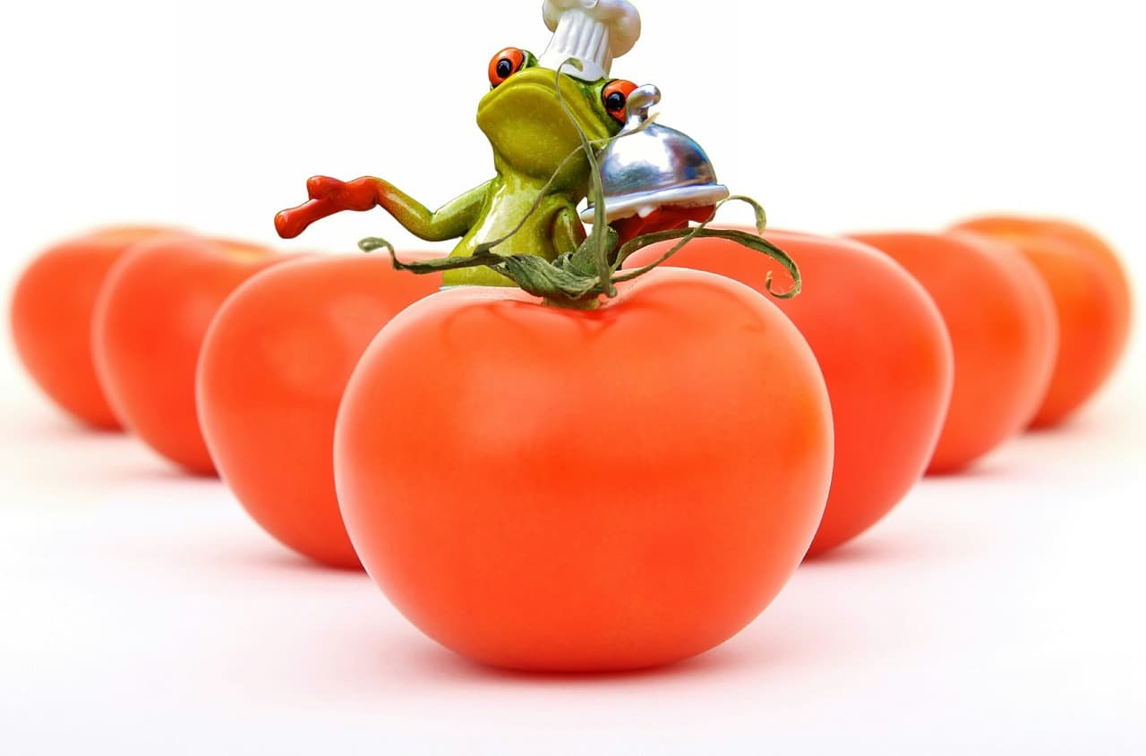 Cómo establecer una alimentación consciente para mejorar tu salud