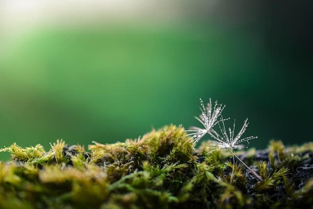 7 consejos para mantener una salud mental equilibrada