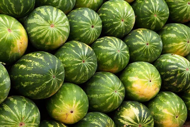 7 consejos para fortalecer tu sistema inmunológico de forma natural