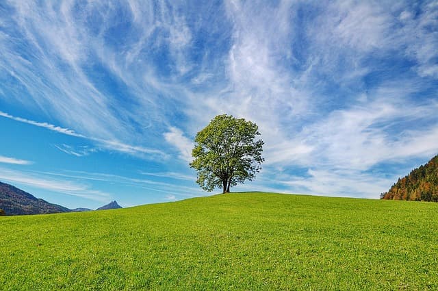 10 consejos para mantener una salud mental equilibrada